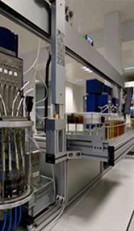 Installation & Training