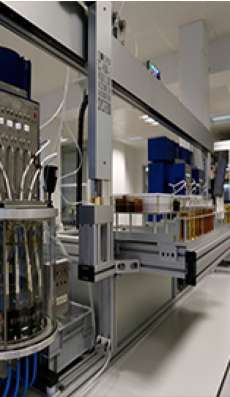 Installation & Training